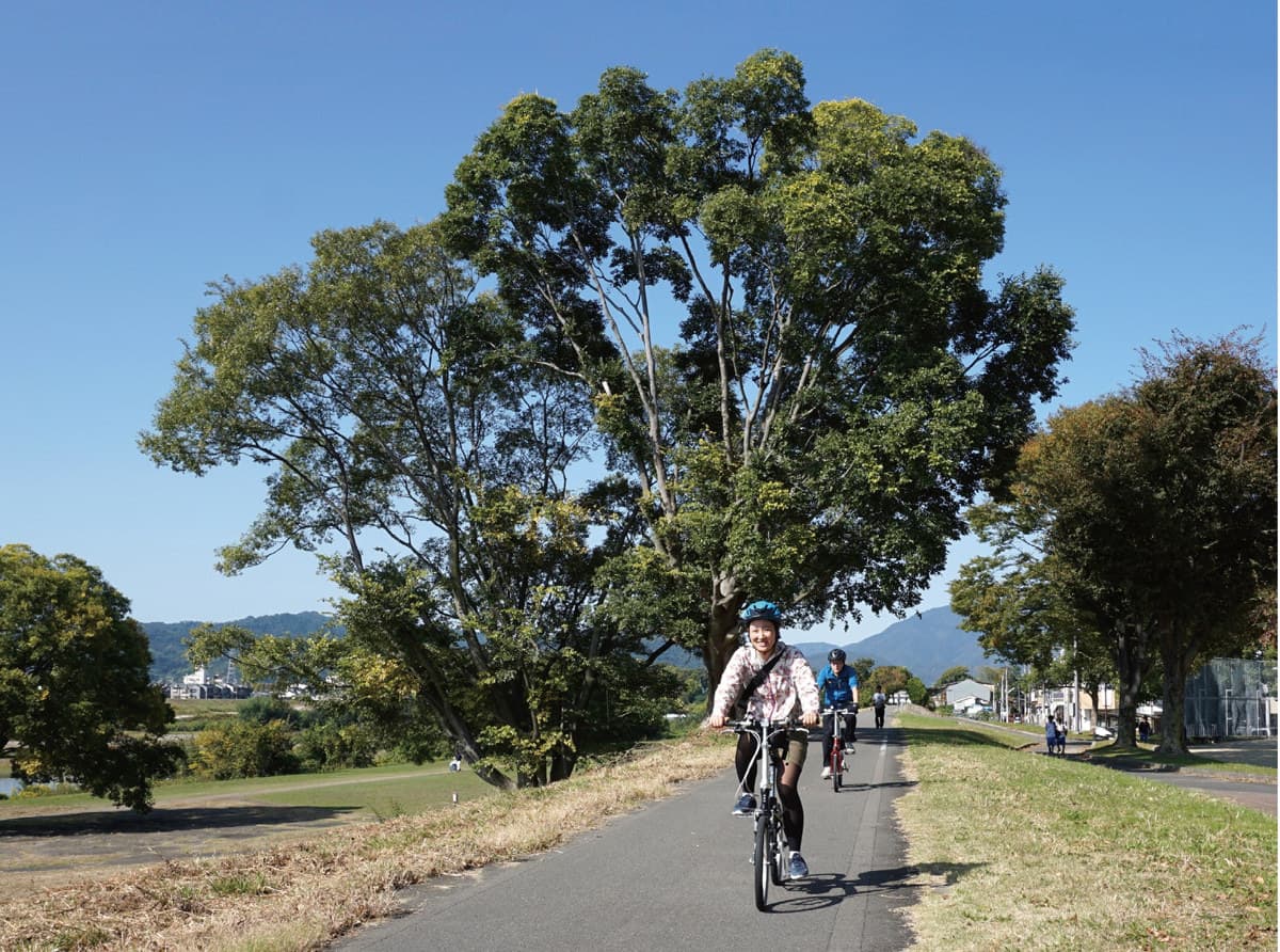 サイクリング  京都市サイクルサイト